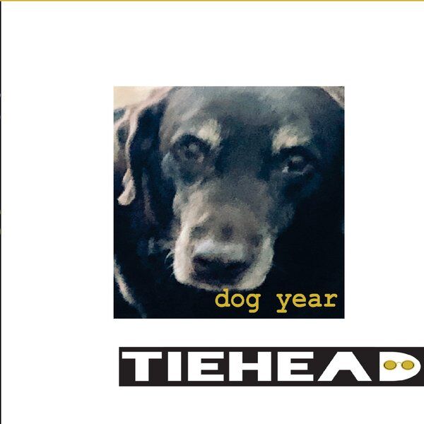 Cover art for Dog Year